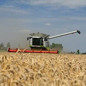 Agri commodities